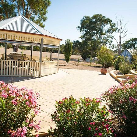 Barossa Vineyard Cottages Tanunda Esterno foto