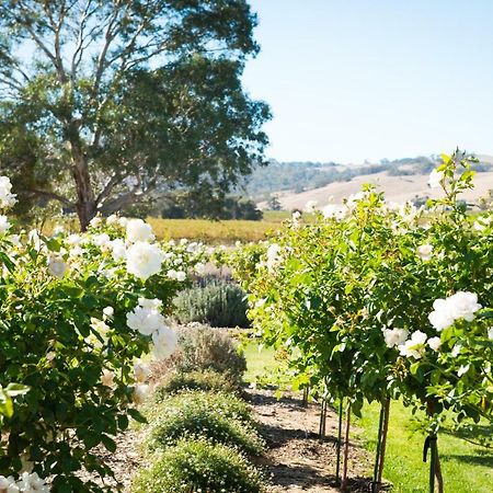 Barossa Vineyard Cottages Tanunda Esterno foto