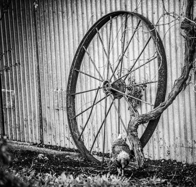 Barossa Vineyard Cottages Tanunda Esterno foto