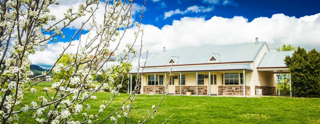 Barossa Vineyard Cottages Tanunda Esterno foto