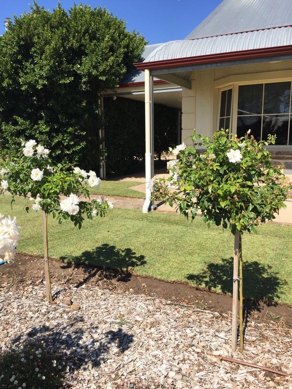 Barossa Vineyard Cottages Tanunda Esterno foto