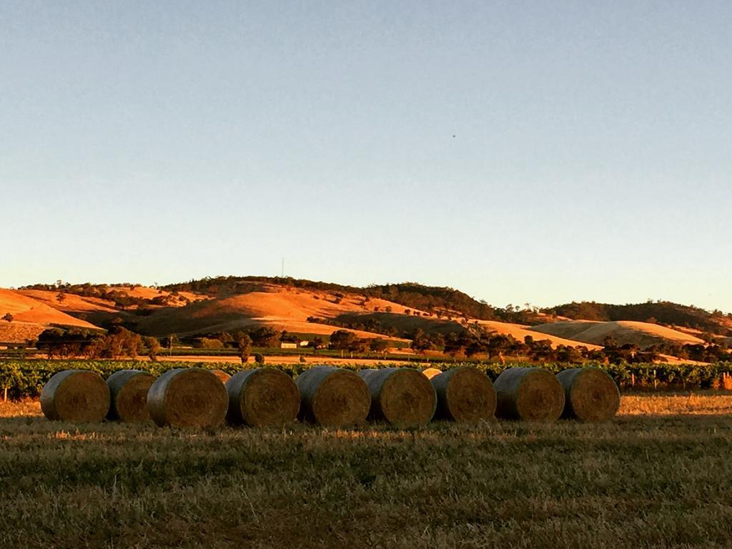 Barossa Vineyard Cottages Tanunda Esterno foto
