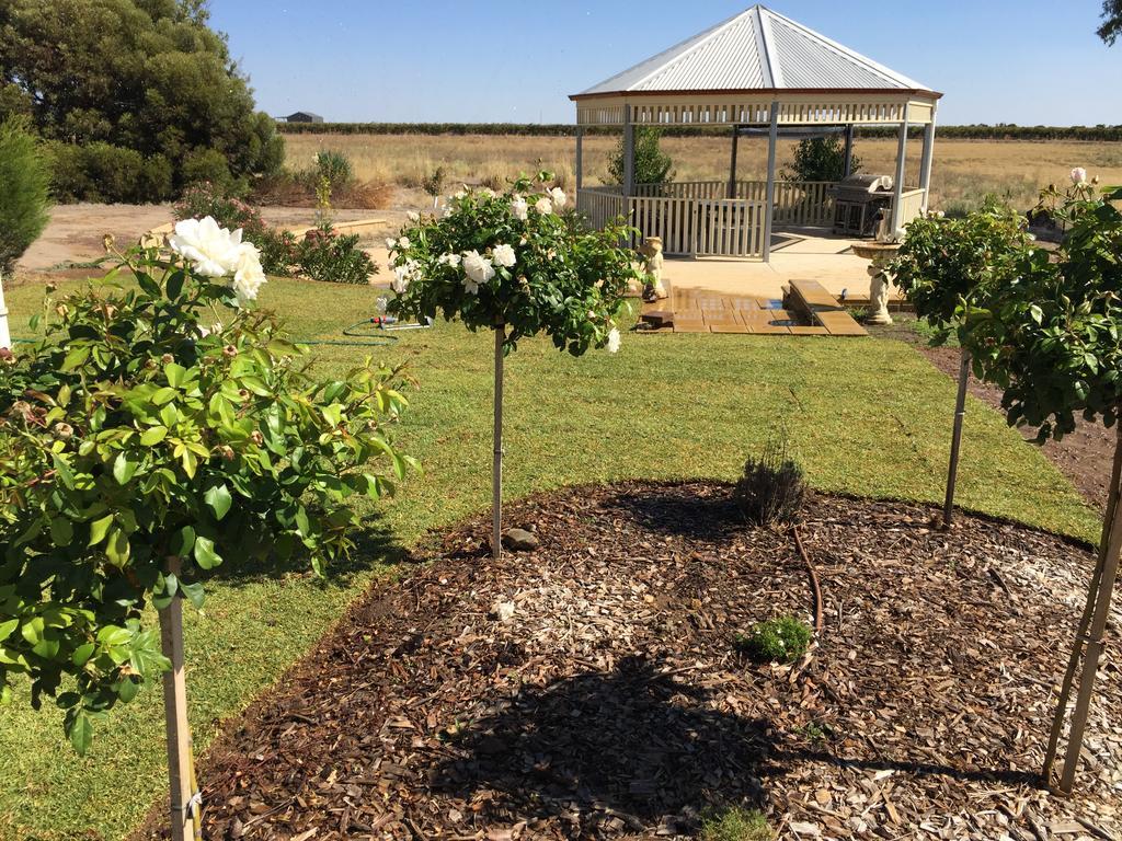Barossa Vineyard Cottages Tanunda Esterno foto