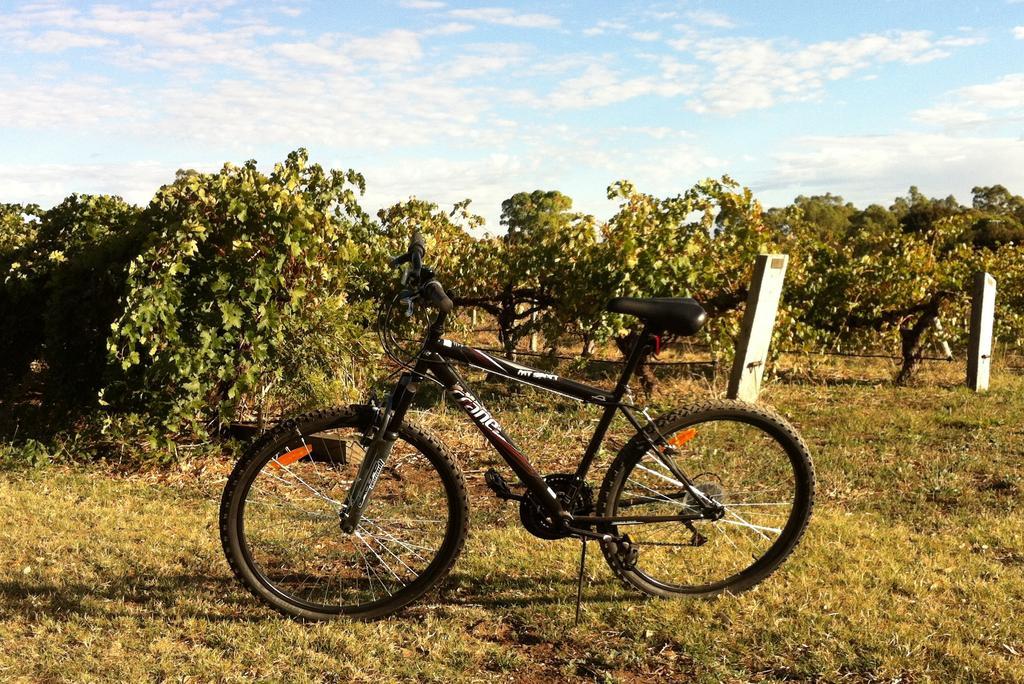 Barossa Vineyard Cottages Tanunda Esterno foto