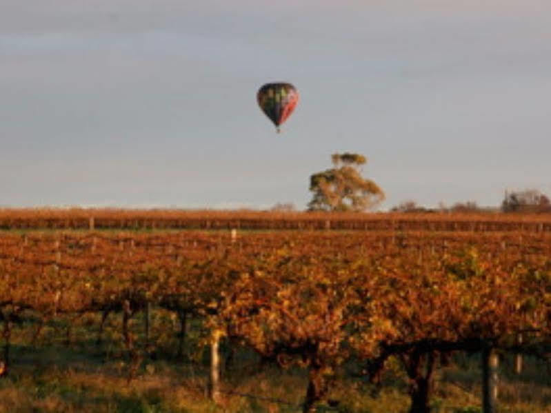 Barossa Vineyard Cottages Tanunda Esterno foto