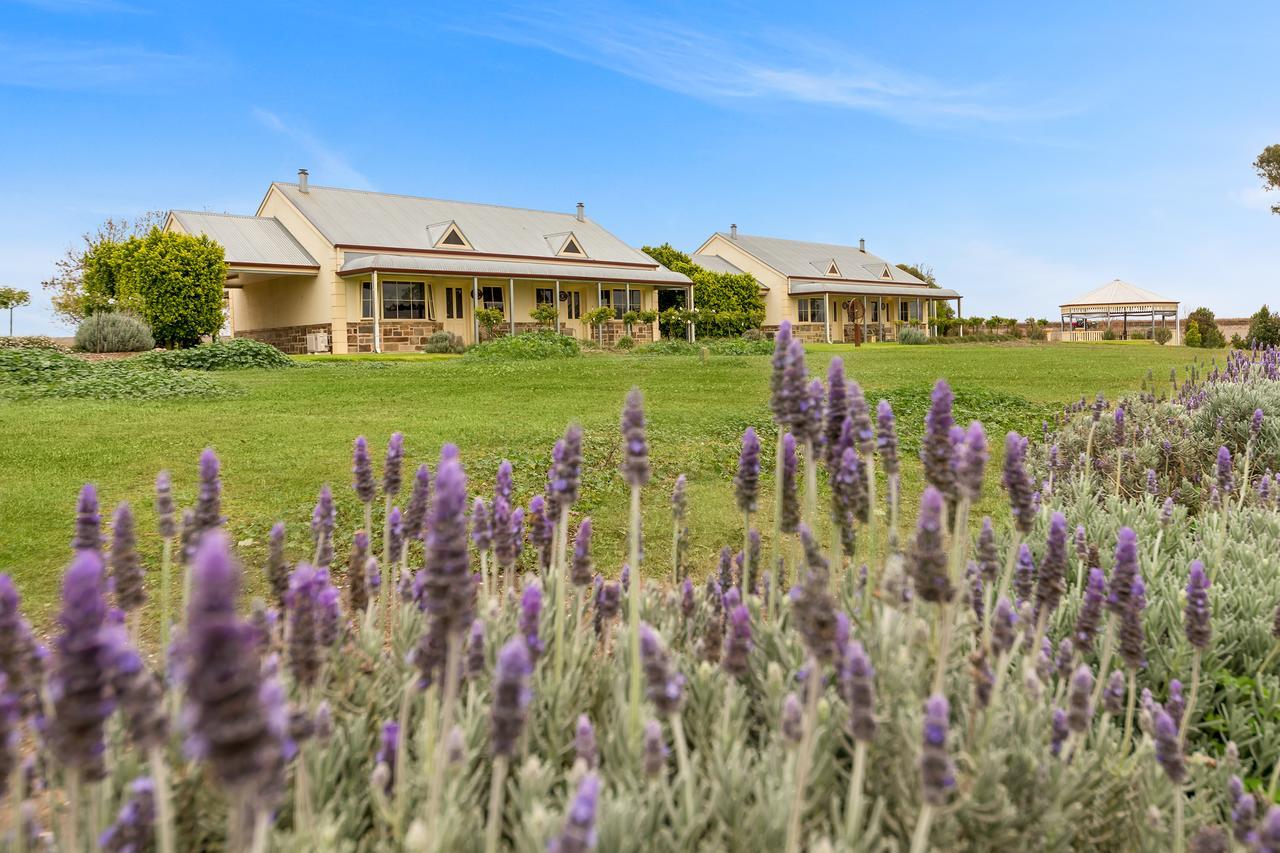 Barossa Vineyard Cottages Tanunda Esterno foto