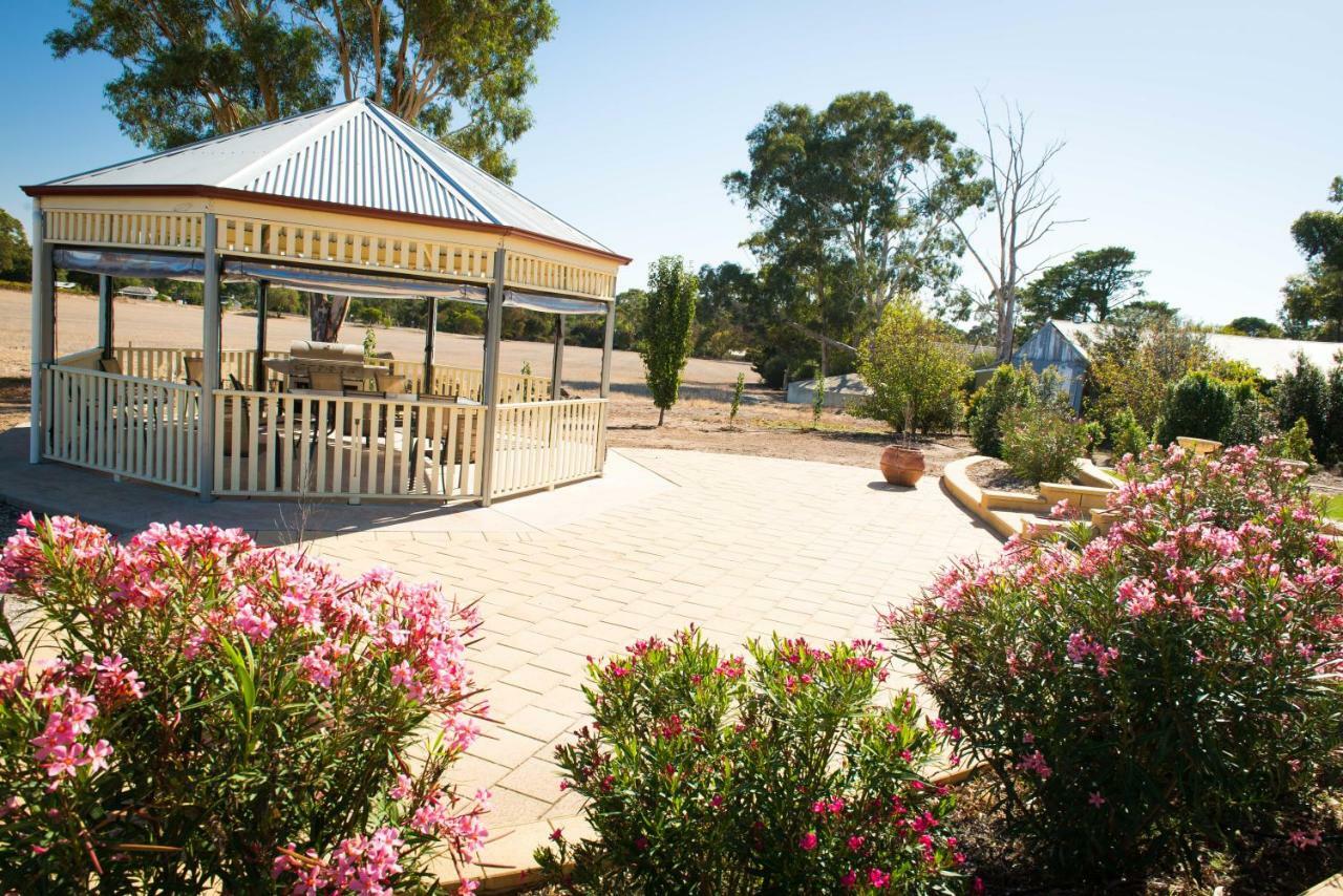 Barossa Vineyard Cottages Tanunda Esterno foto