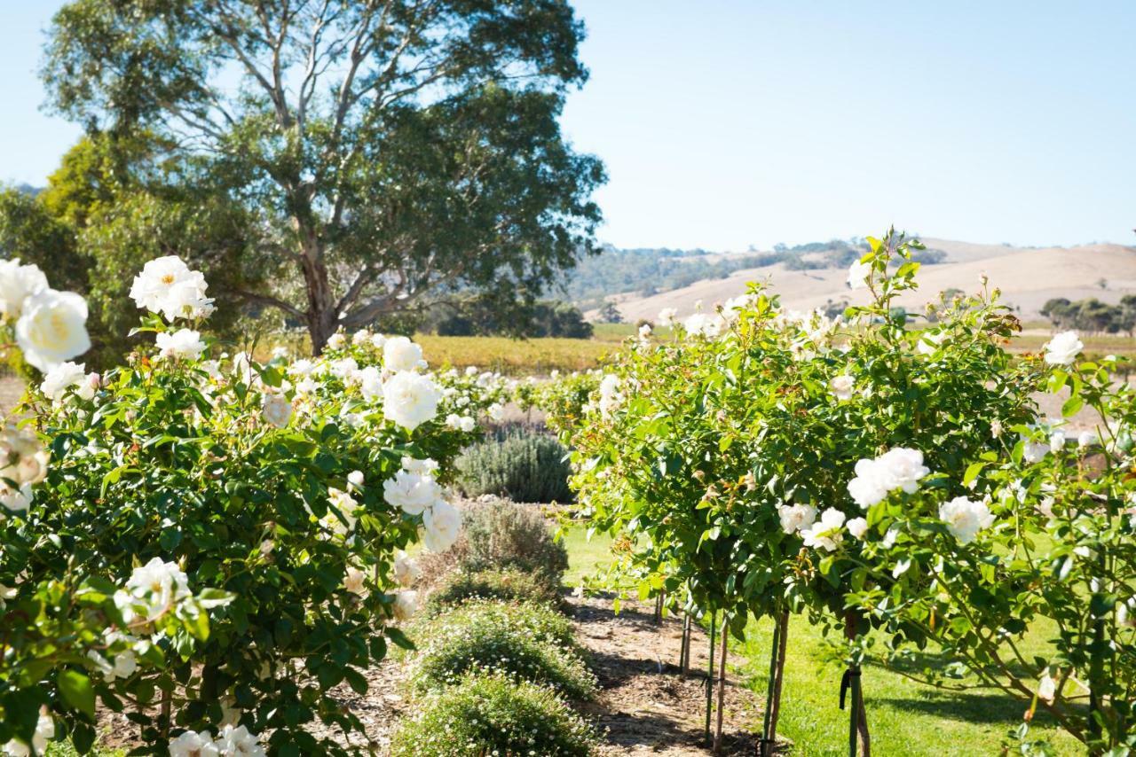 Barossa Vineyard Cottages Tanunda Esterno foto