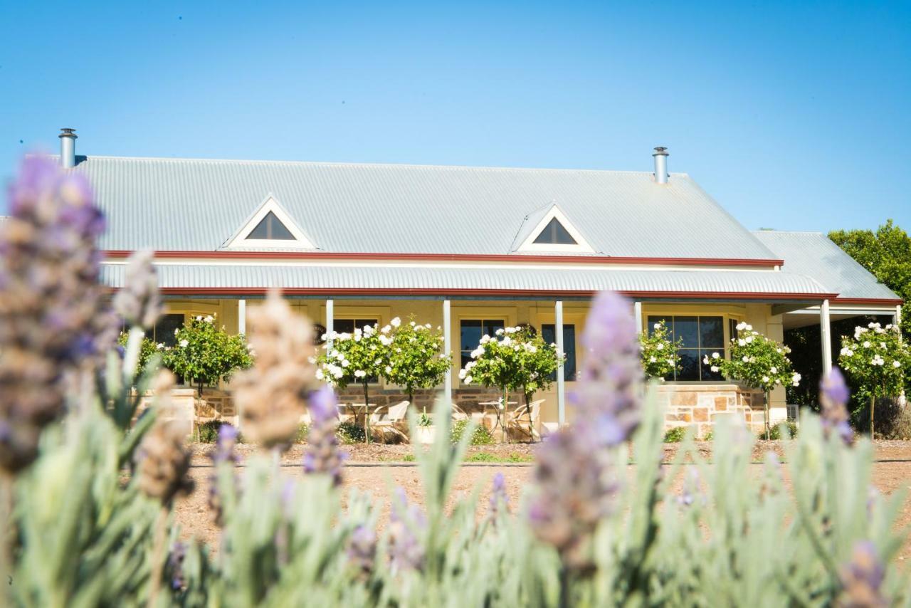 Barossa Vineyard Cottages Tanunda Esterno foto