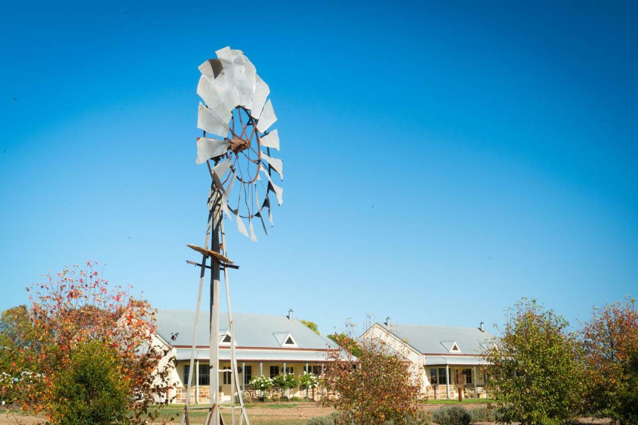 Barossa Vineyard Cottages Tanunda Esterno foto